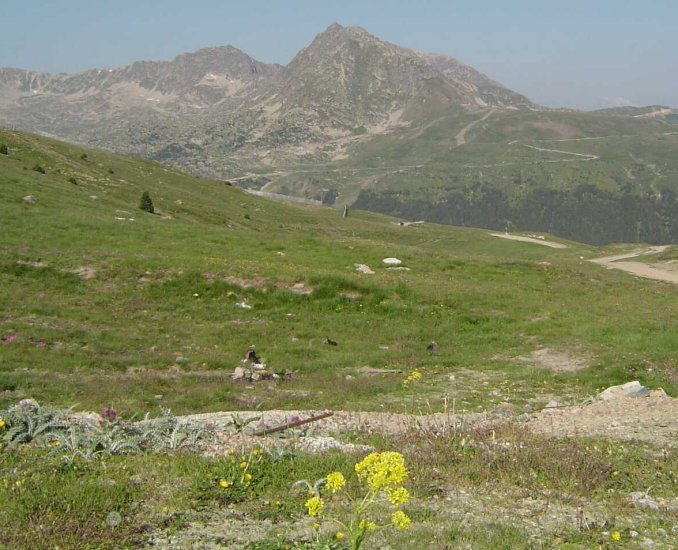 Pyrenean Peaks in Andorra