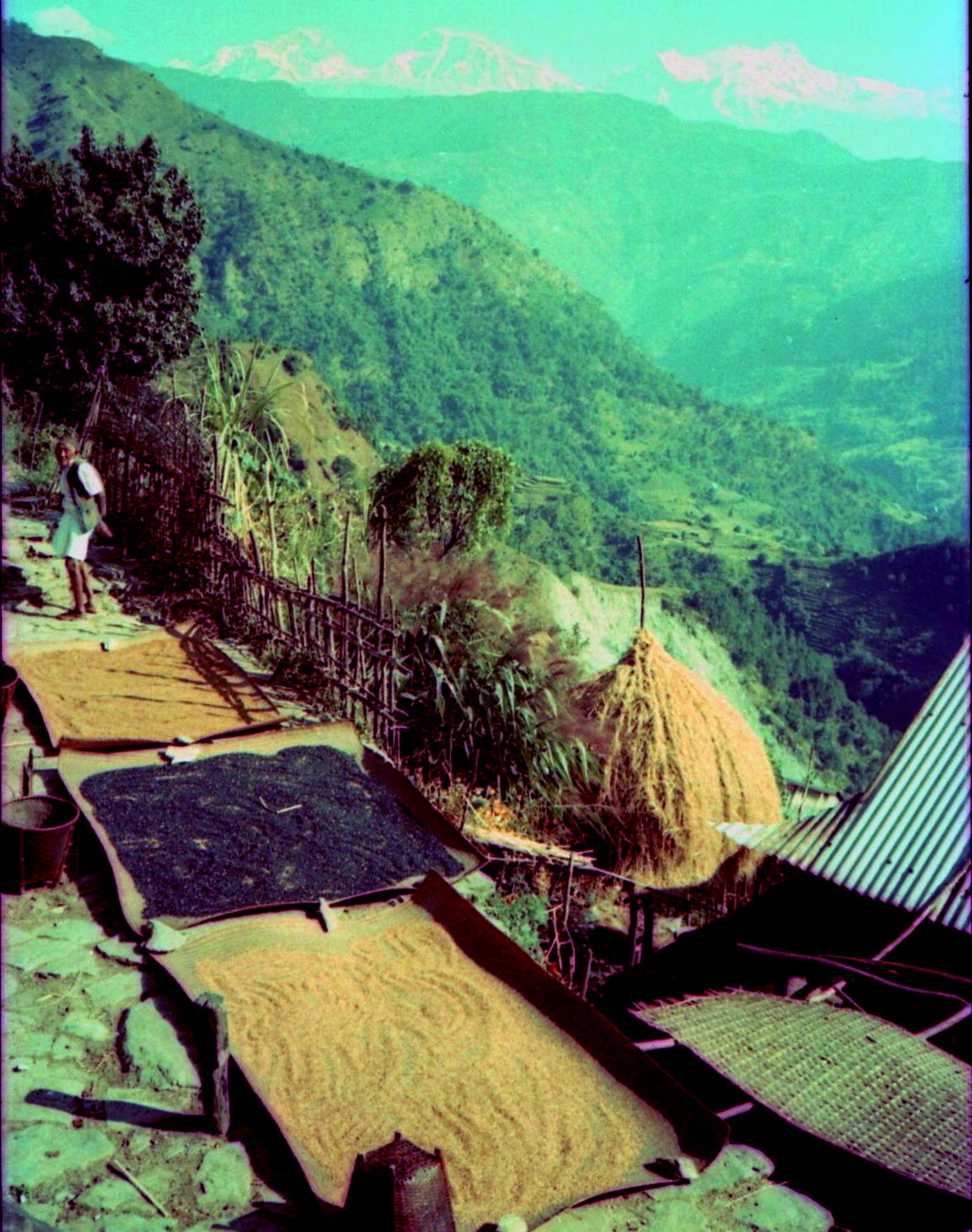 On route from Marsayangdi Valley to Pokhara