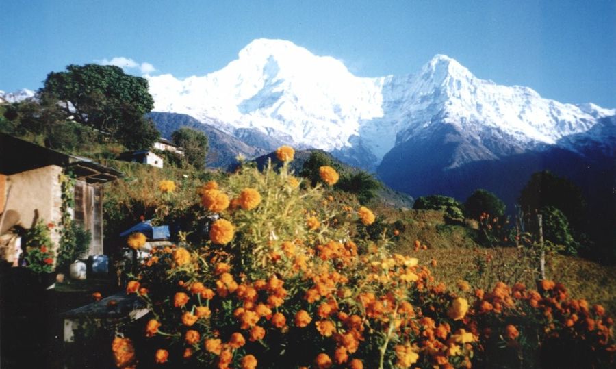 Annapurna South Peak and Hiunchuli from Gandrung