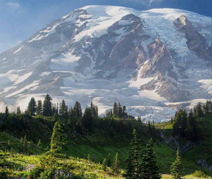 Mount Rainier ( 4392m ) Pacific Ranges, Washington State, USA from Colquhoun Peak