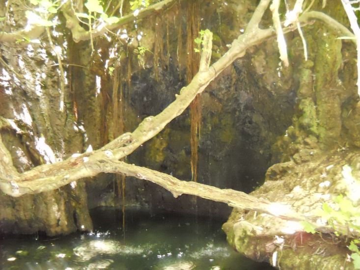 The Baths of Aphrodite in the Akamas Peninsula of western Cyprus