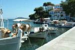 skiathos_harbour.jpg