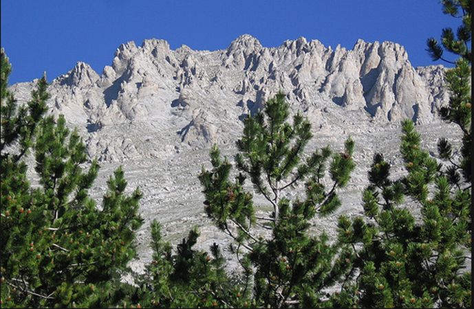 Zonaria locality on the East Side of Mt. Olympus