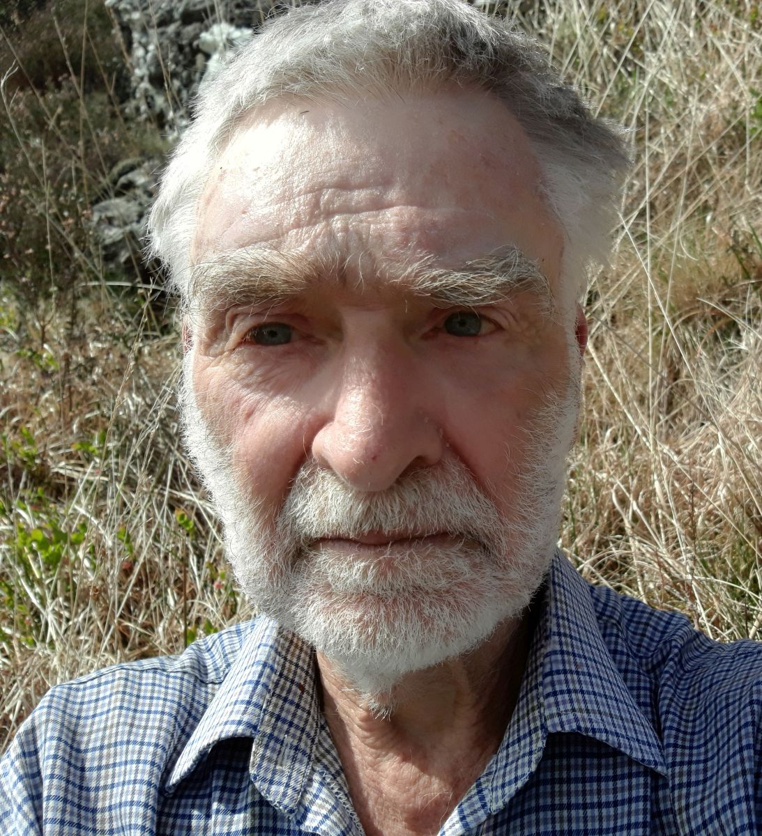 Charles Alan Ingram