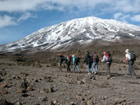 http://www.kili-worldbornsafaris.com/