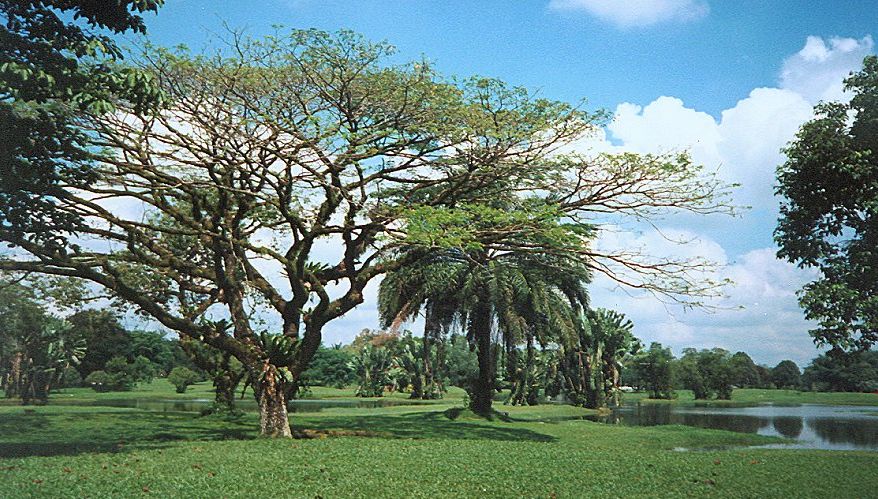 Lake Gardens in Taiping