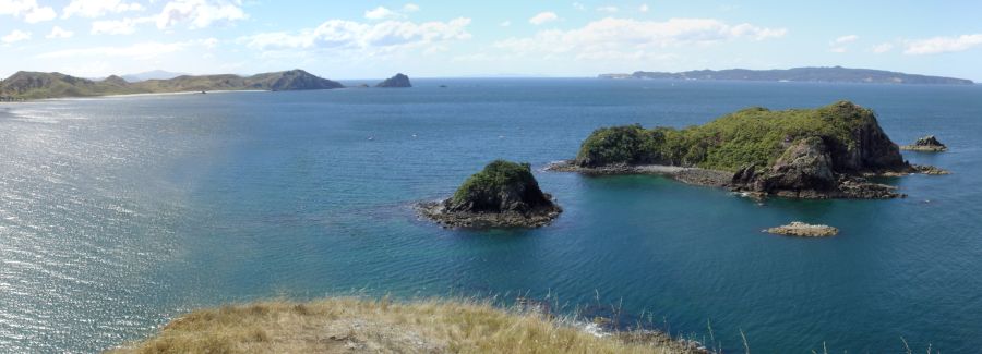 Coromandel Peninsula on North Island of New Zealand