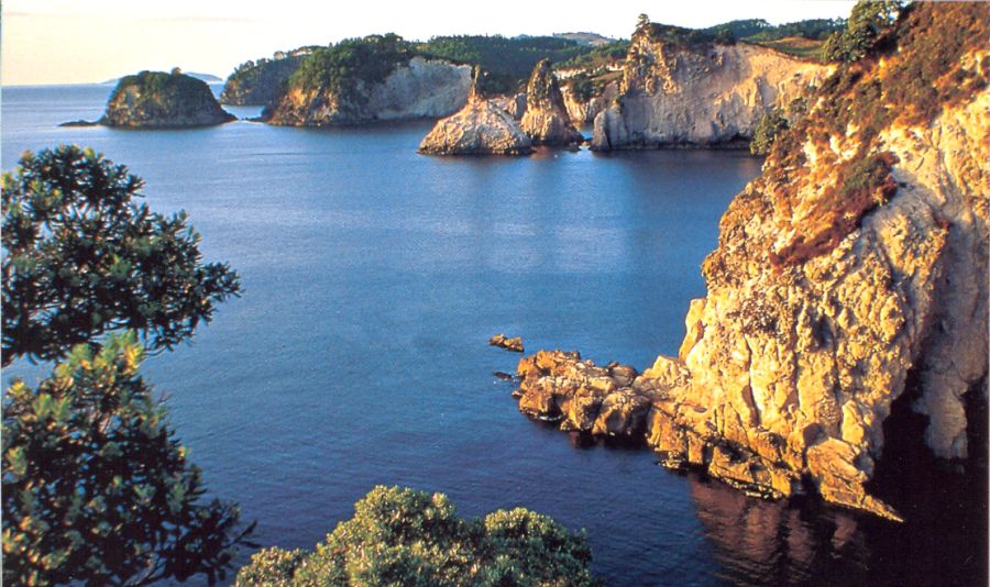 Coast at Whitianga on Coromandel Peninsula on North Island of New Zealand