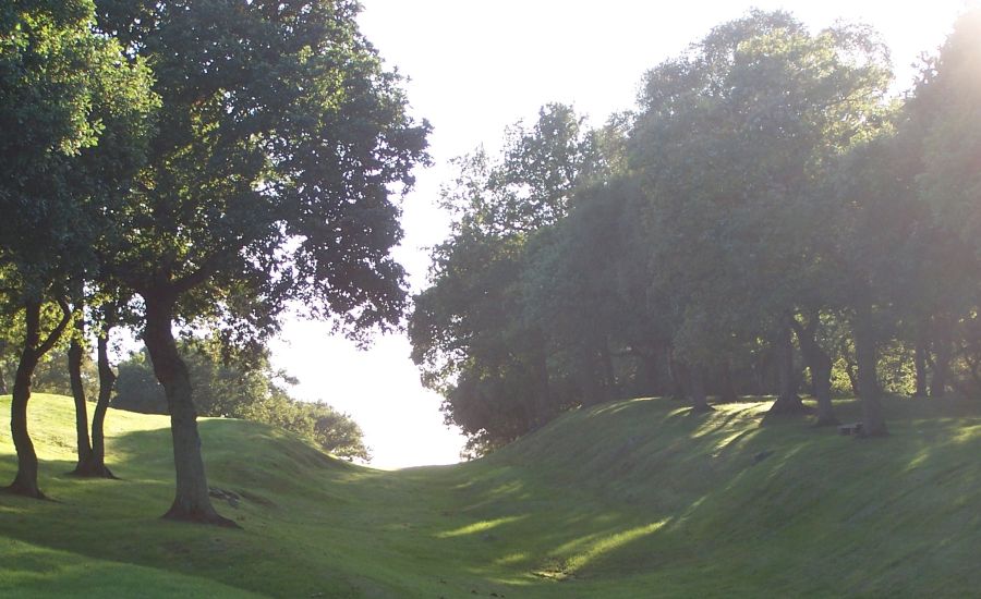 Route of Roman Road through Seabegs Wood