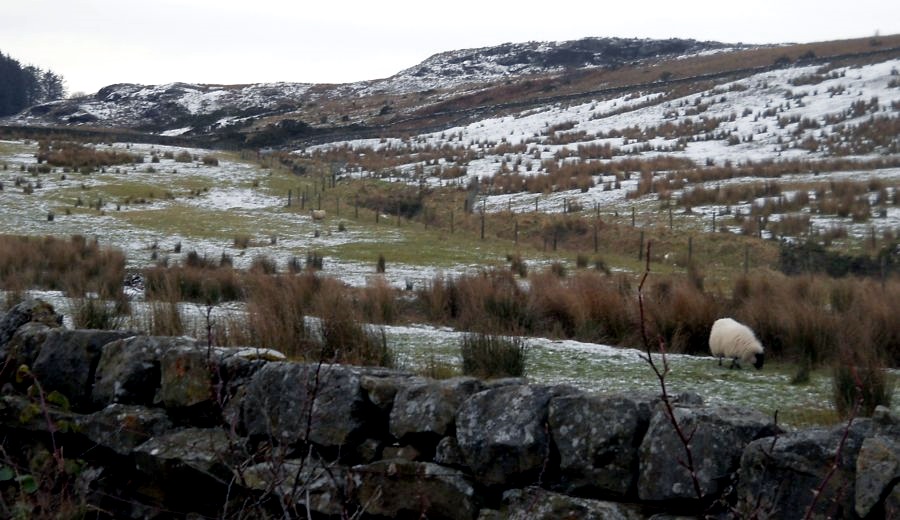 Craigmaddie Moor from Baldernock Linn Road