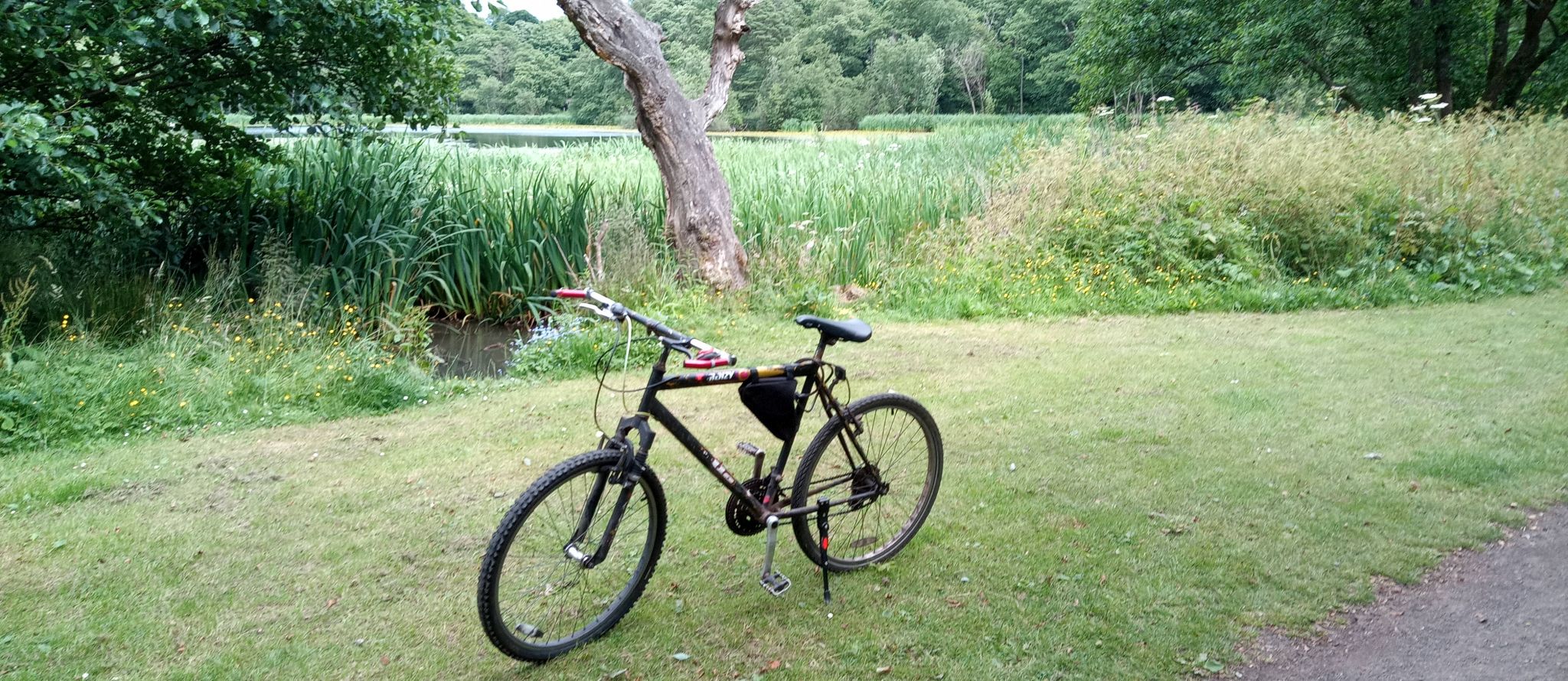 Kilmardinny Loch