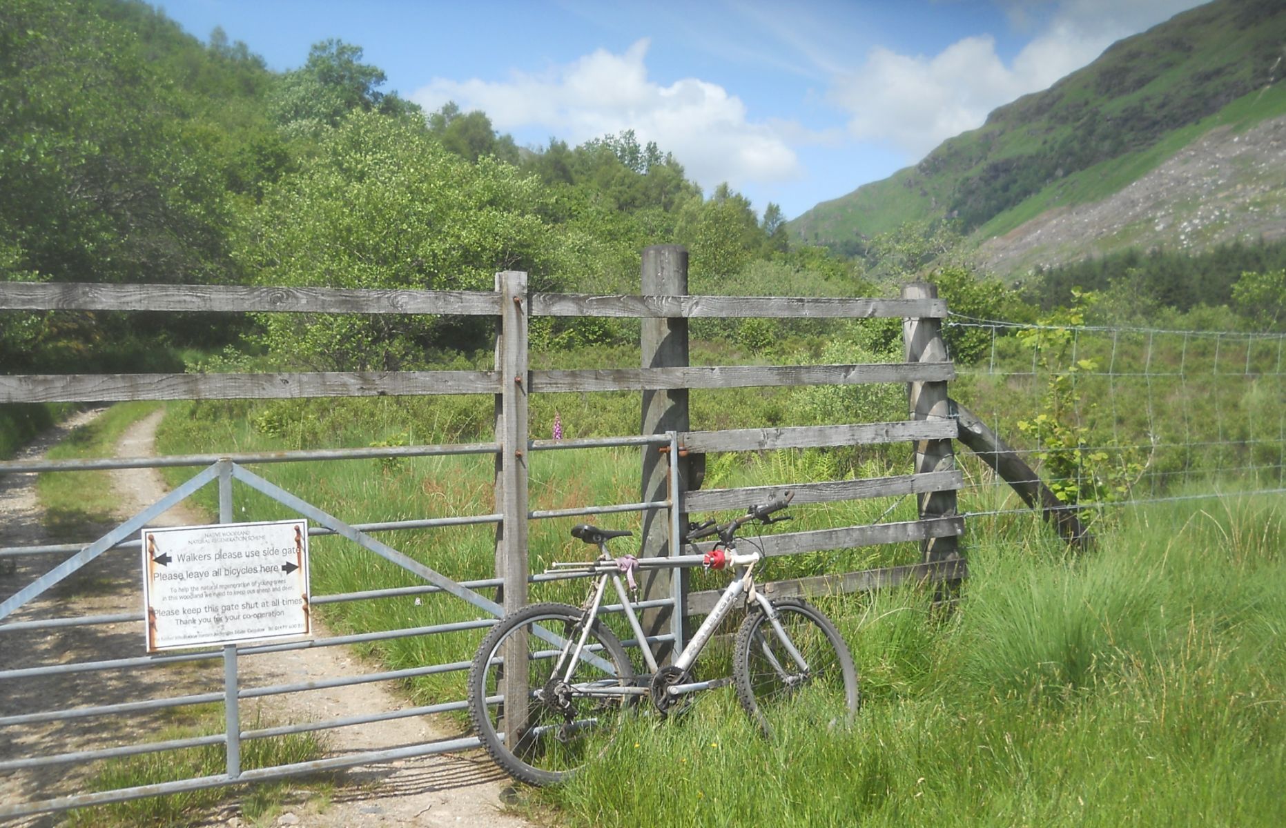 Approach to Beinn Bhuidhe