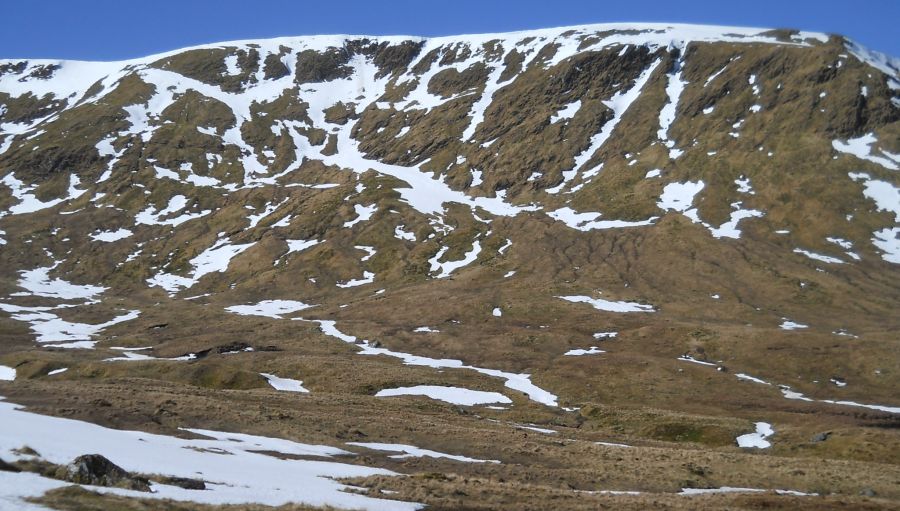 Cliffs of Meall tan Eich above Coire Riadhailt