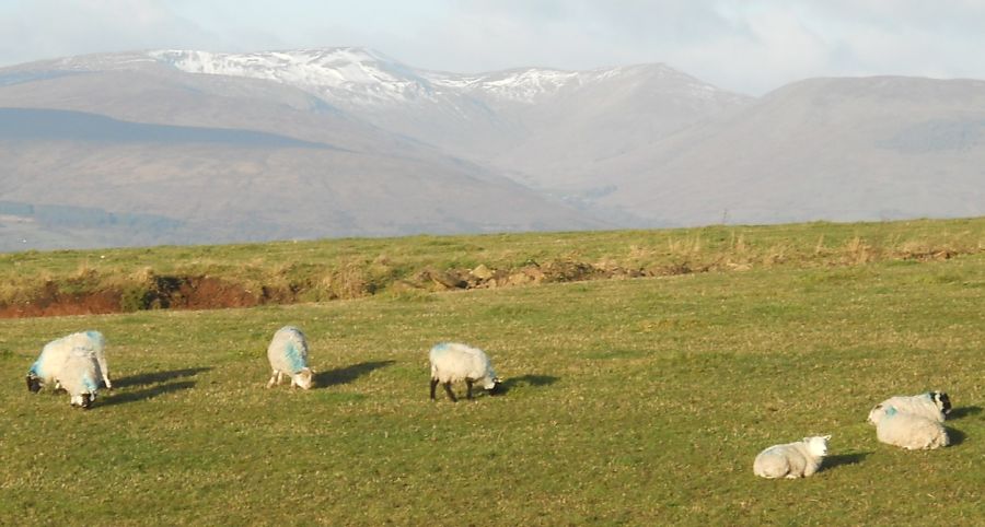 Luss Hills