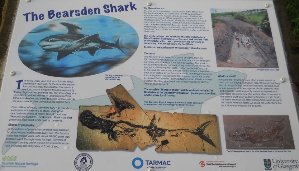 Information Board on the "Bearsden Shark" in Baljaffrey