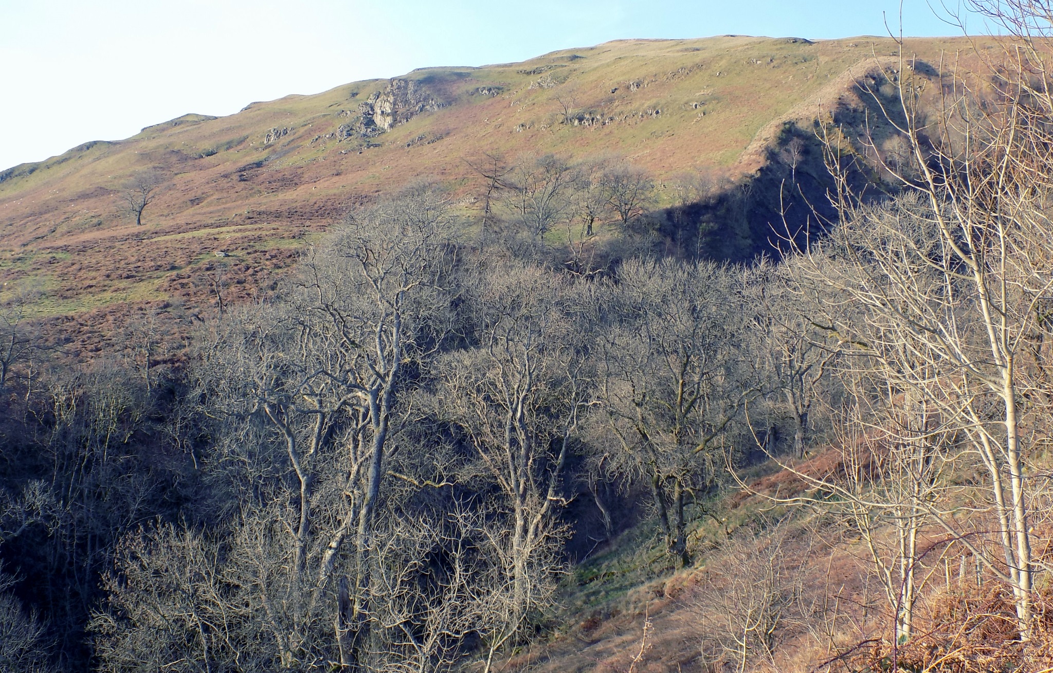 Ballagan Glen on the Campsie Fells above Strathblane