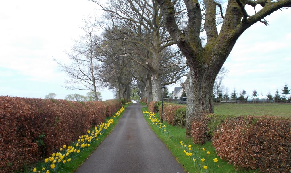 Driveway at Carbeth Home Farm