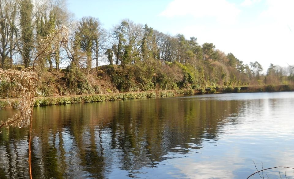 Trees around Craigmaddie Reservoir