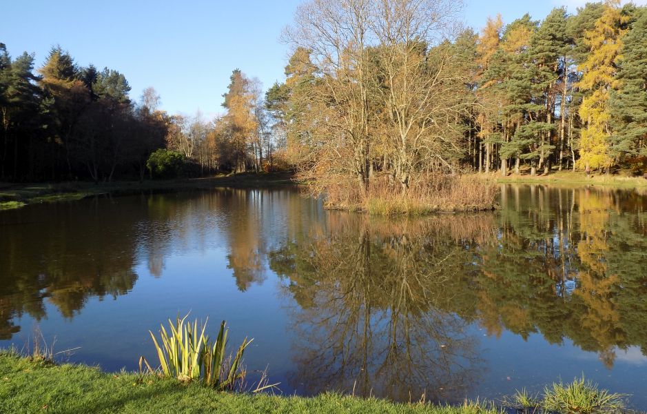 The duck pond at Braidwood Village