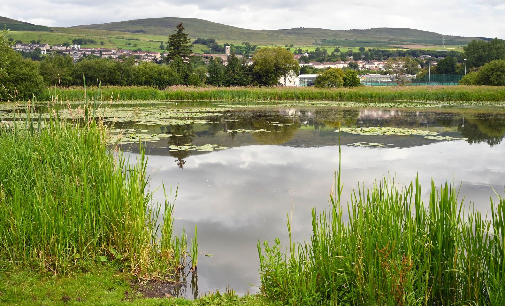 Kilsyth beyond Dumbreck Marsh