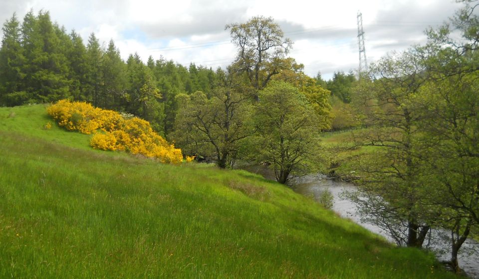 Carnoch Burn in Finnich Glen at exit from Gorge