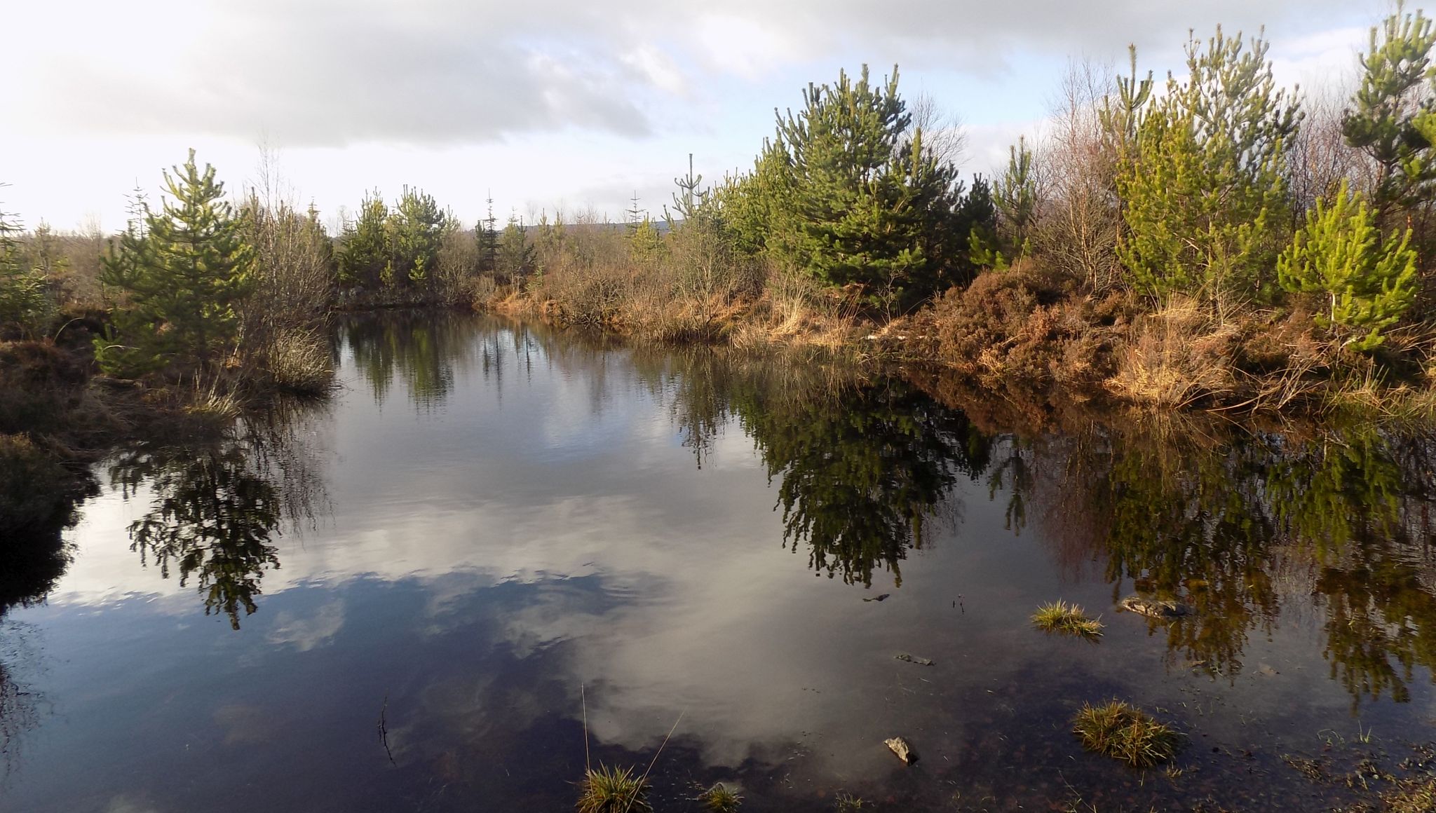 Pool beside the track of the old railway line