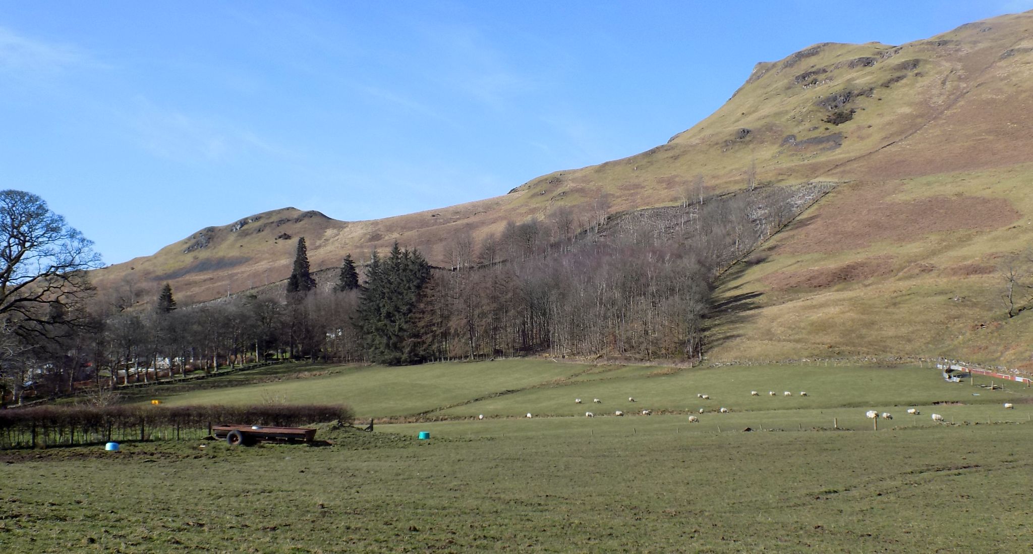 Descent route to Broadgate Farm from the escarpment of the Campsie Fells