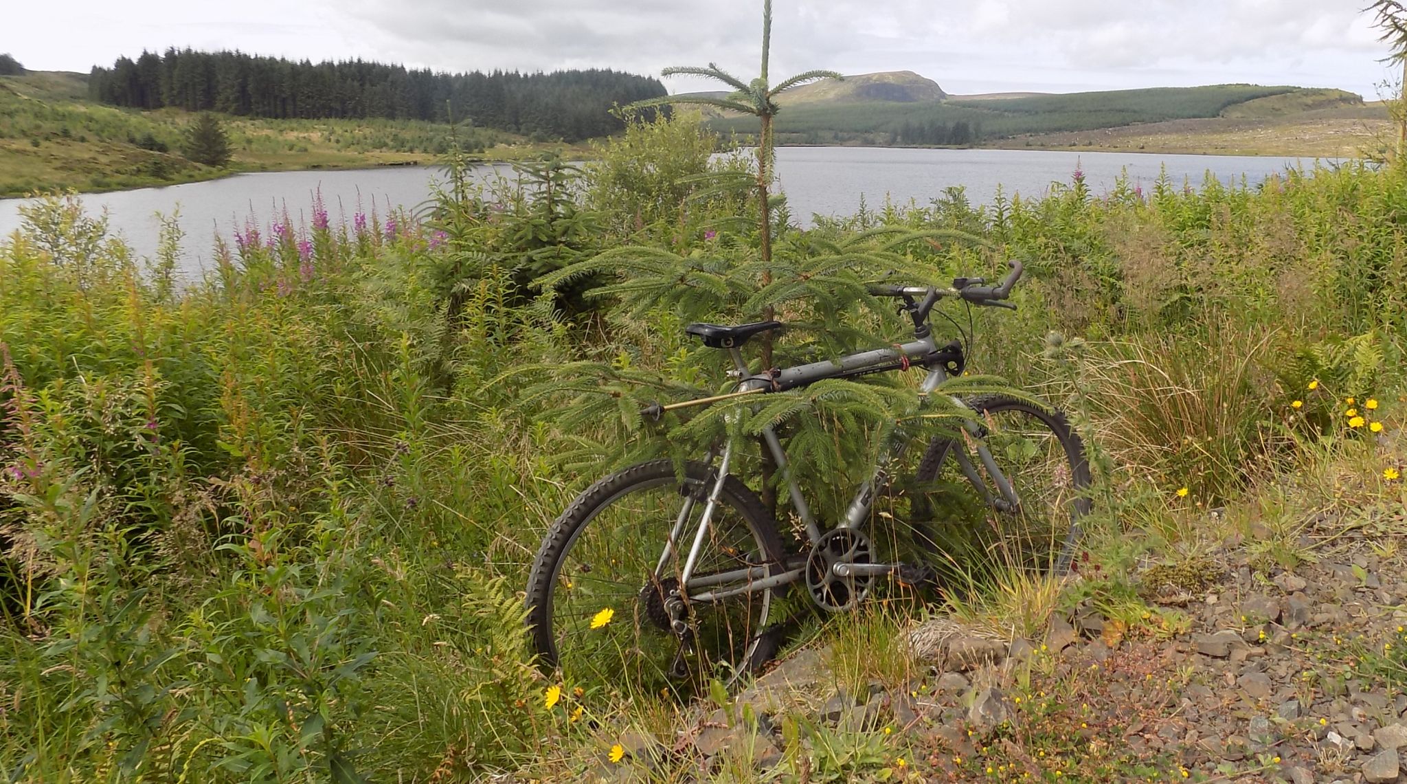 Thief's Hill in the Kilpatrick Hills across Kilmannan Reservoir