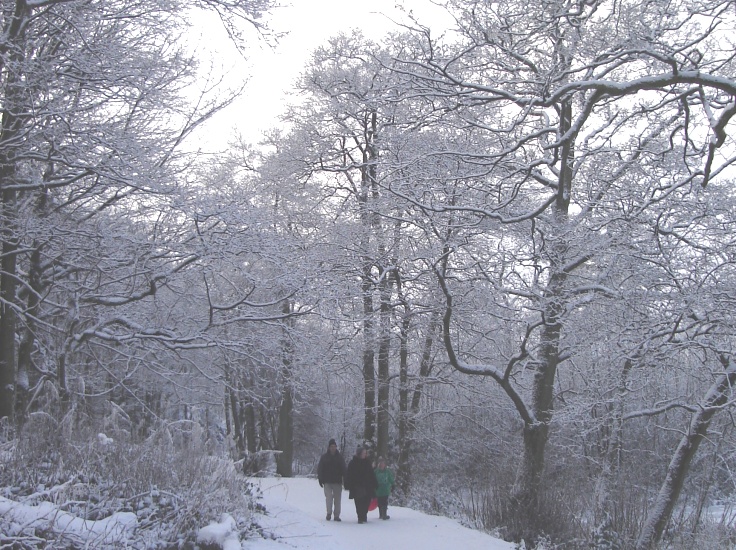 Winter snow scene at Kilmardinny Loch