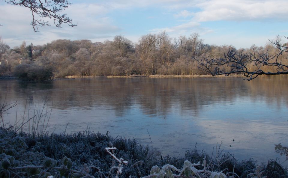 Kilmardinny Loch in winter