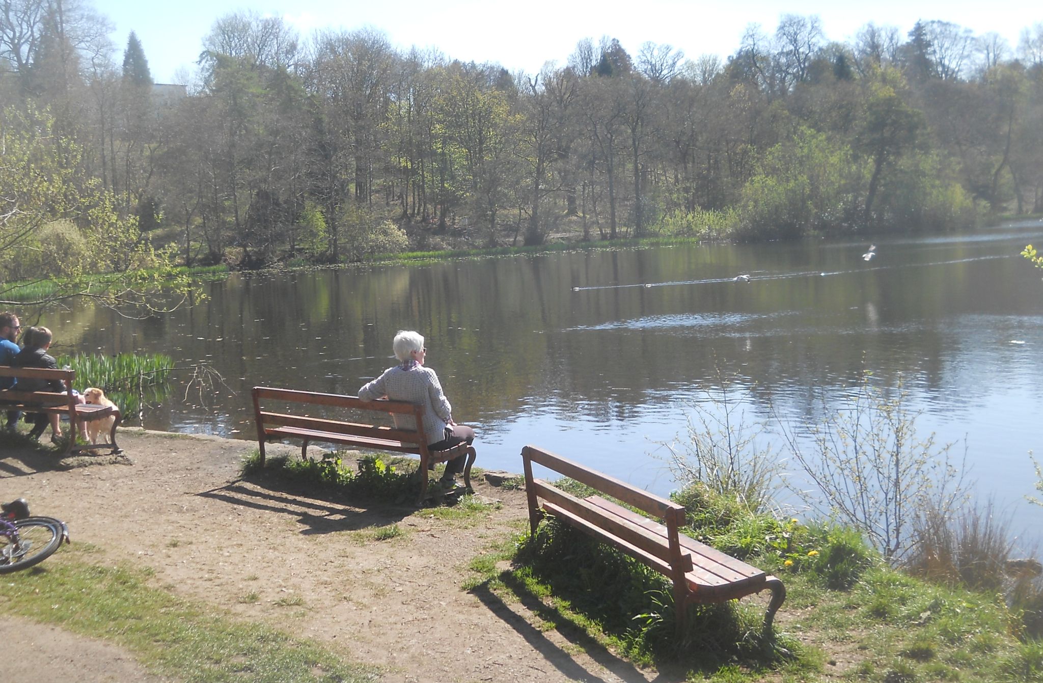 Kilmardinny Loch in Bearsden