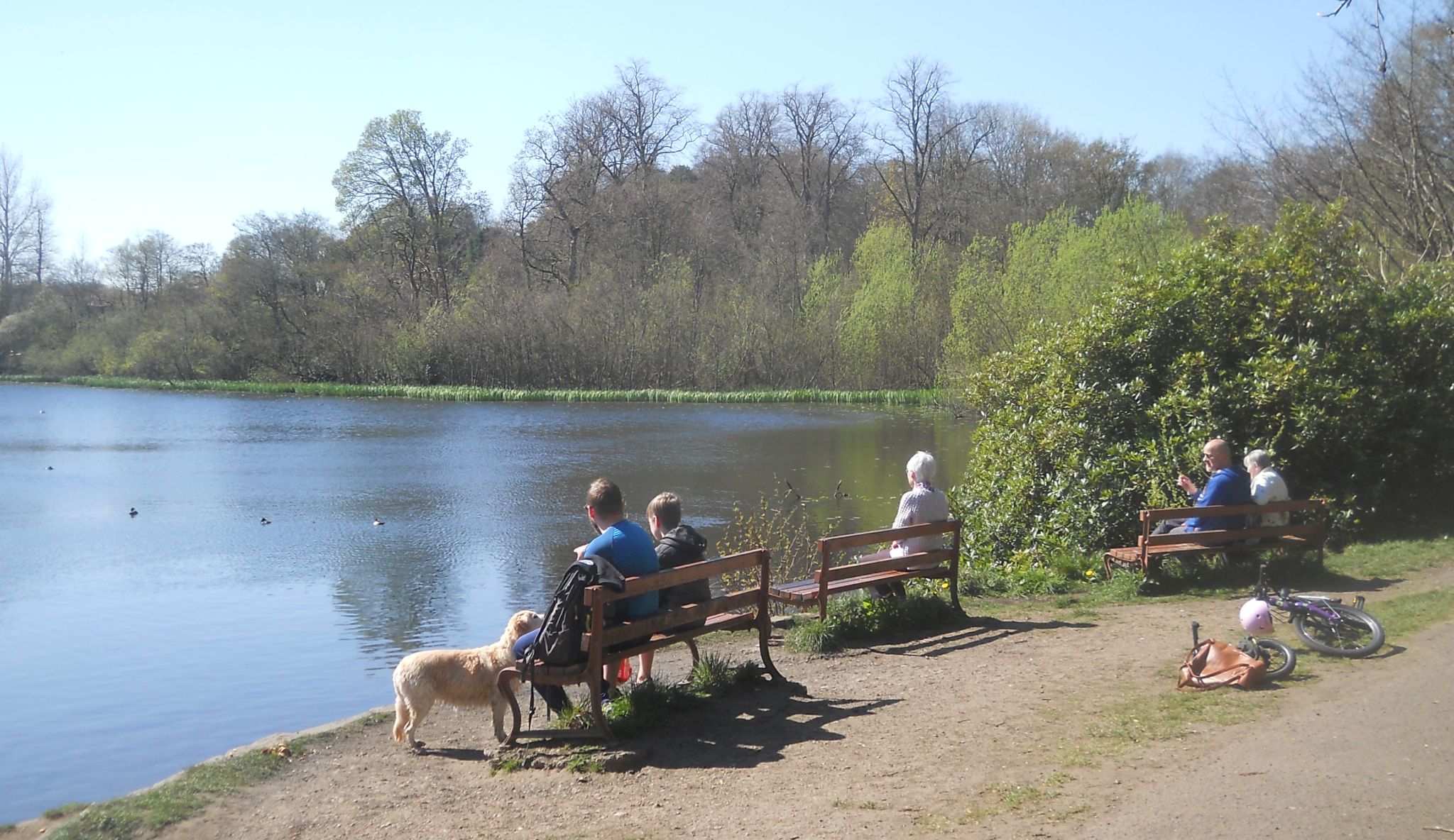 Kilmardinny Loch in Bearsden