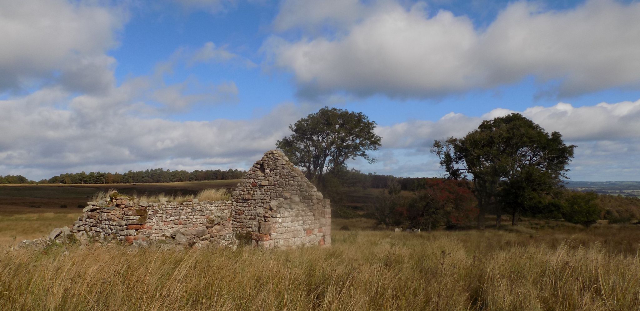 Ruins of Cottage at Limpithill