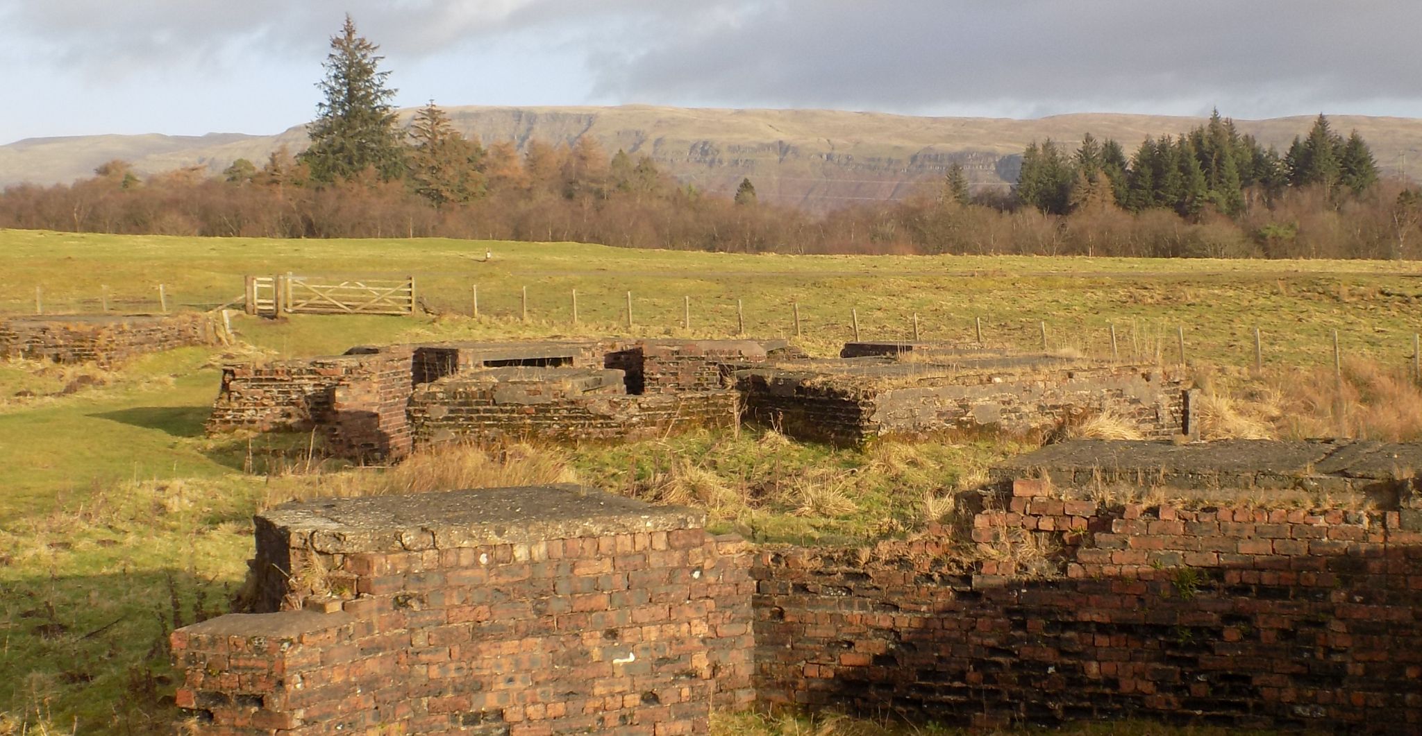 A/A gun site in Mugdock Country Park