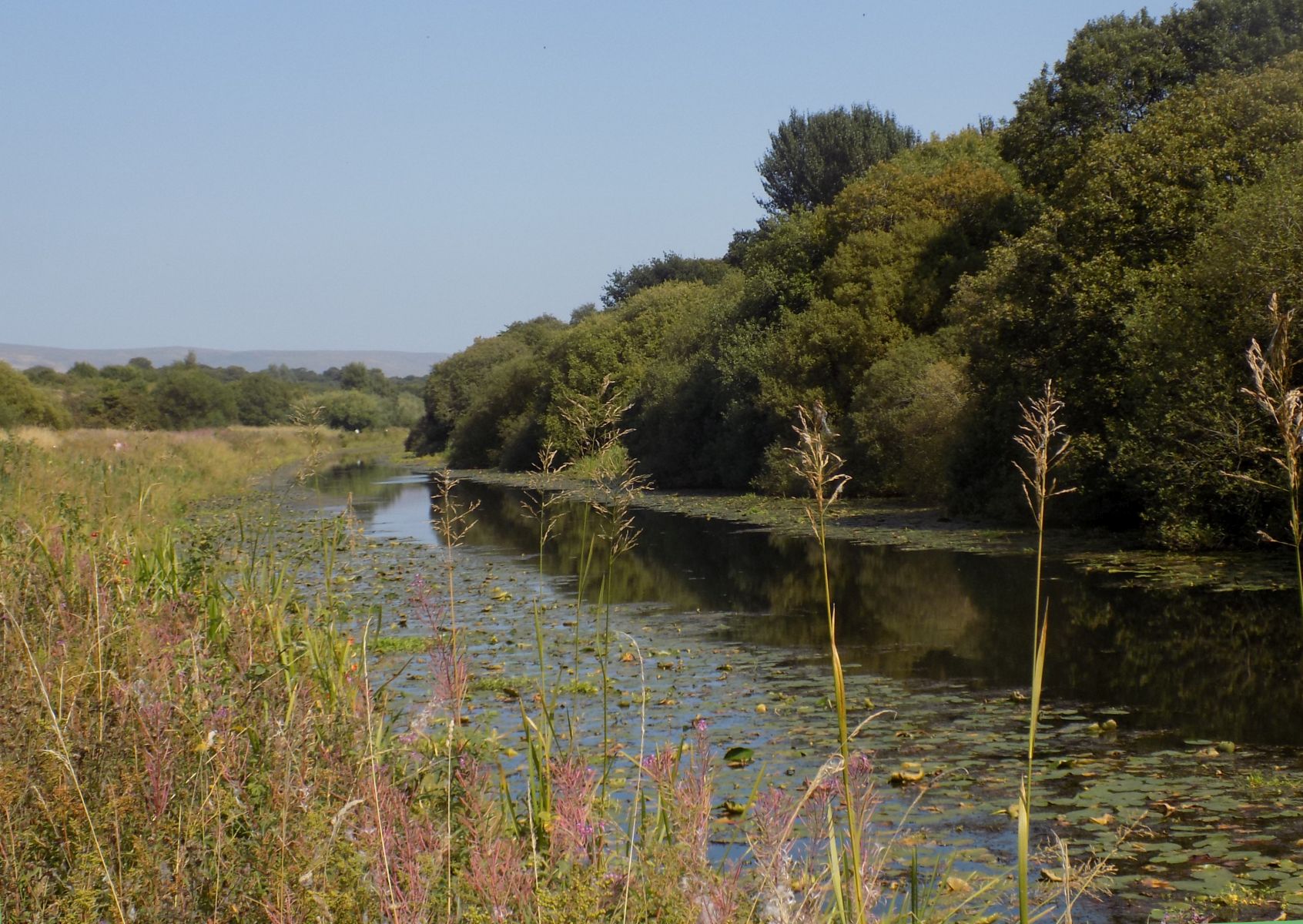 The Forth & Clyde Canal from Lambhill to Cadder