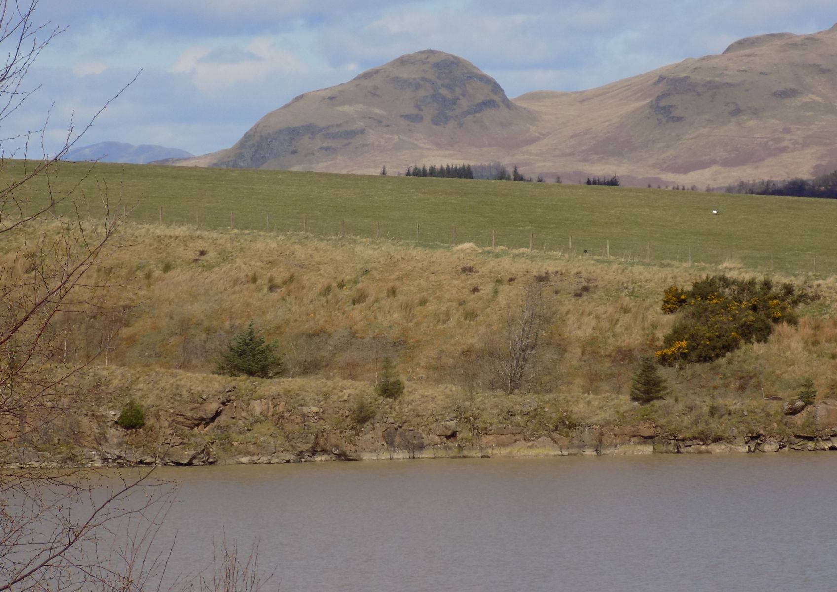 Dumgoyne in the Campsie Fells from Mains Wood