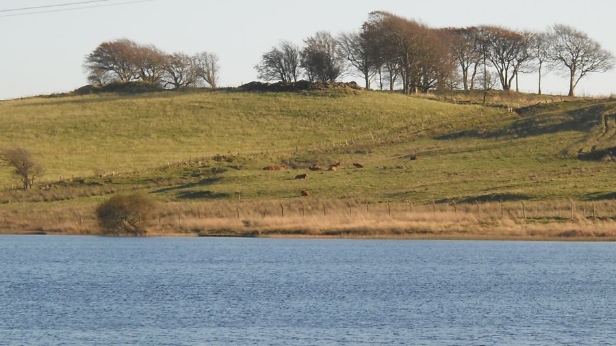 Glenburn Reservoir in Gleniffer Braes Country Park