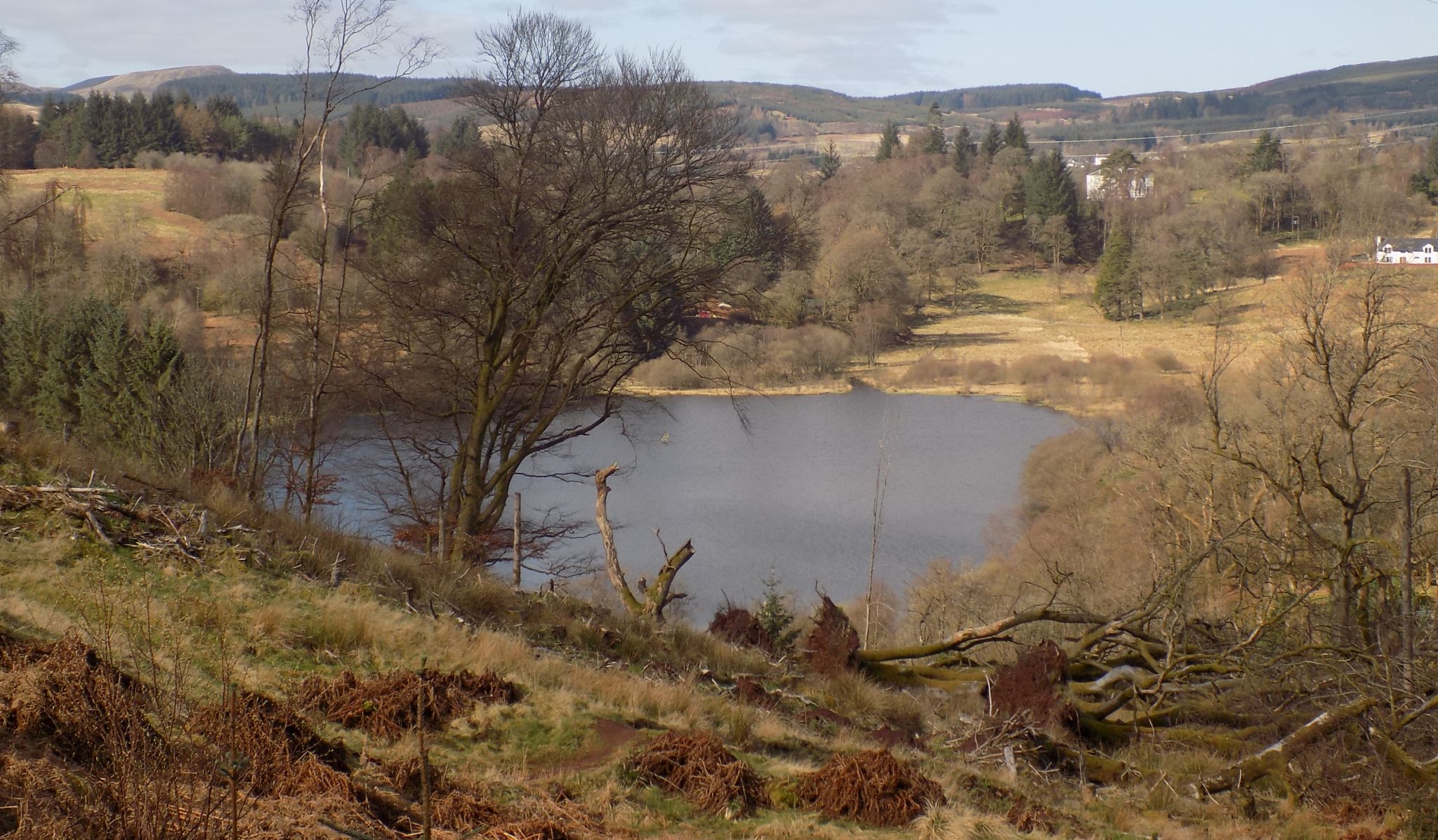 The Loch at Carbeth