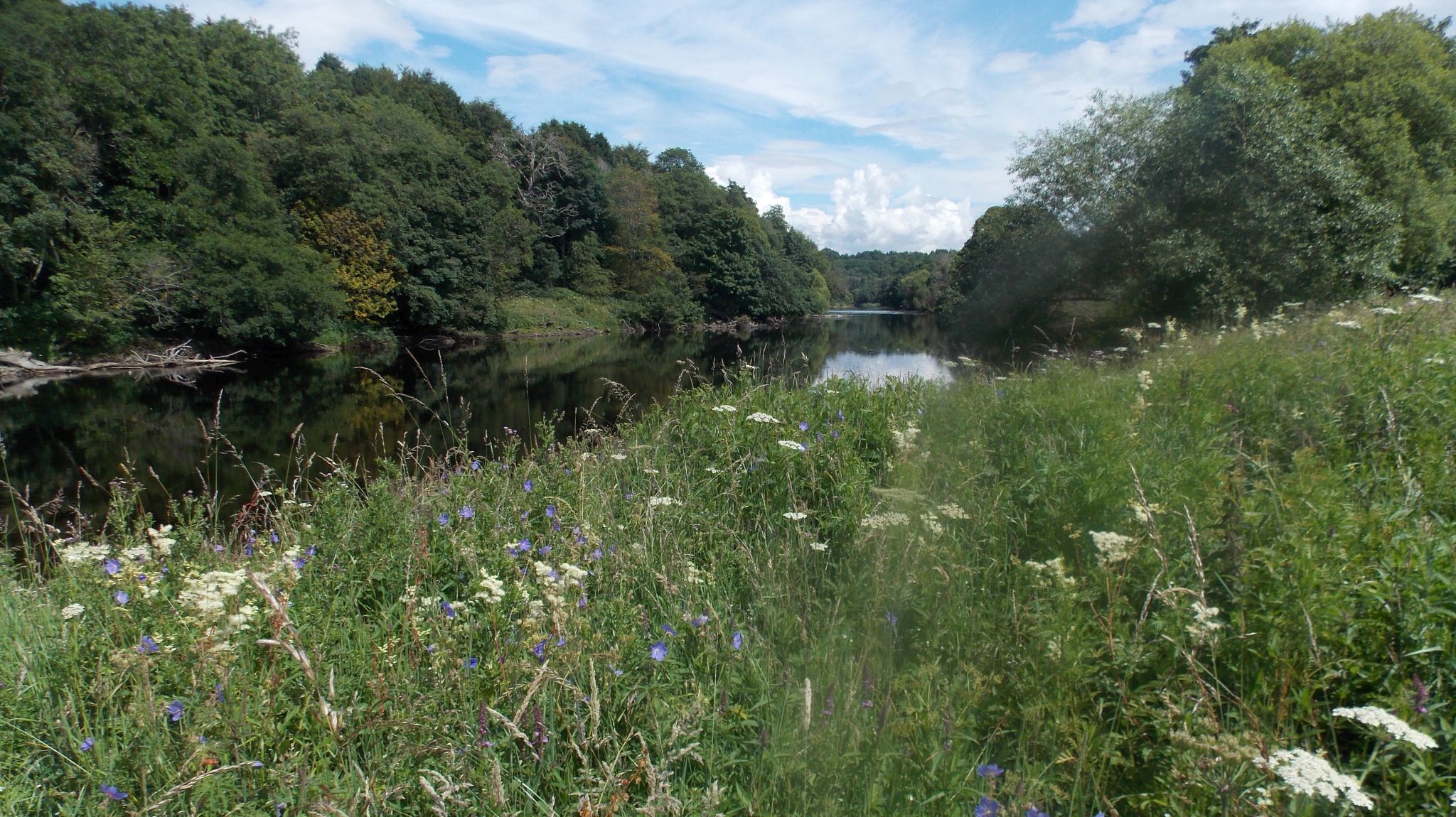 River Tay from the Rob Roy Way