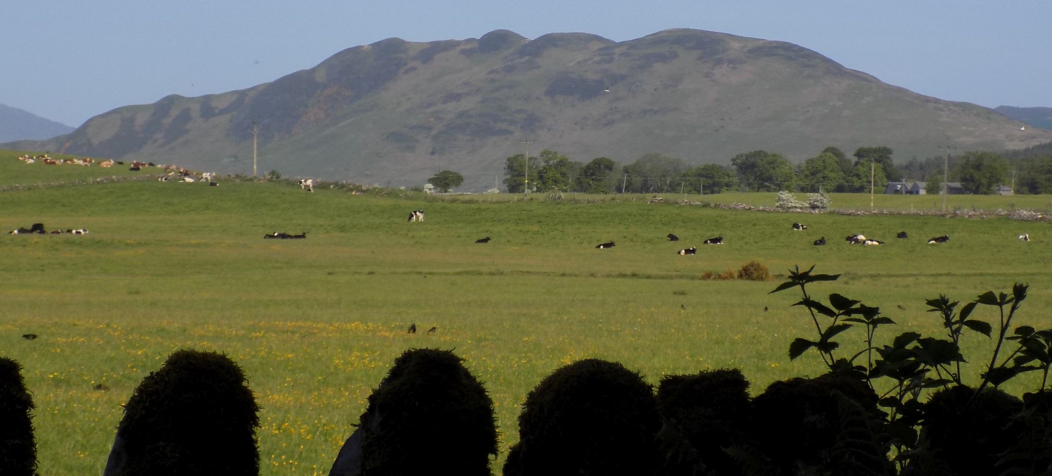 Conic Hill from the Rob Roy Way