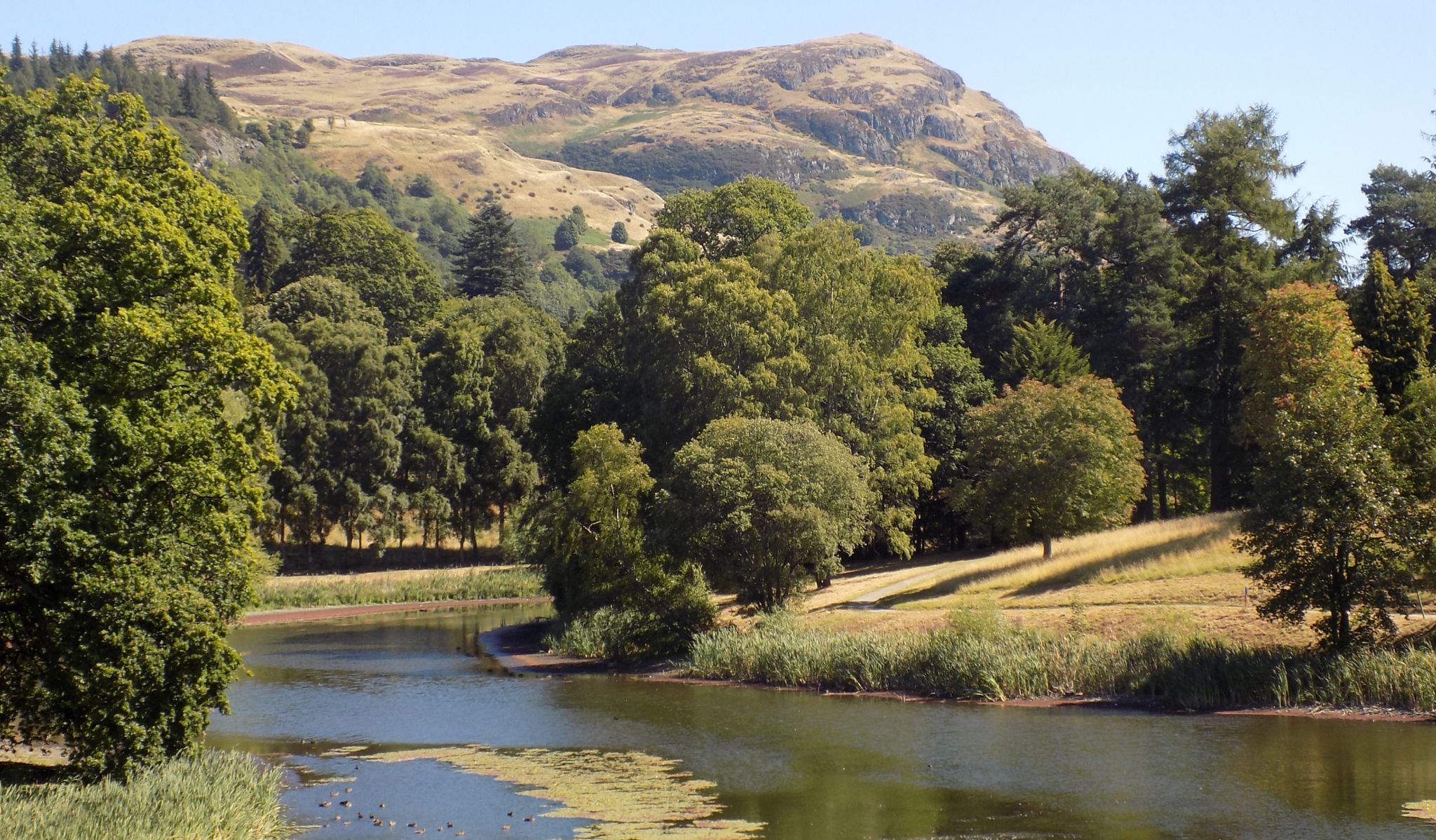 Dumyat from campus of Stirling University