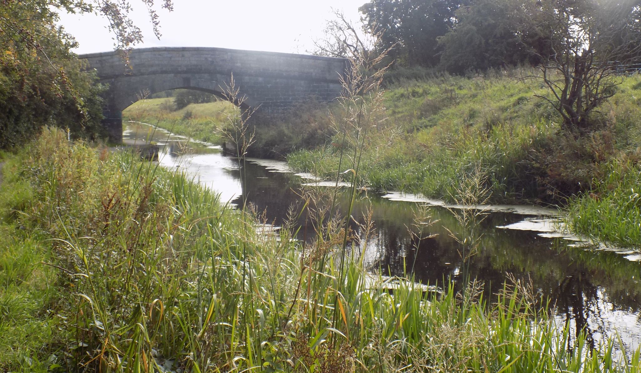 Bridge over the Union Canal between Falkirk and Linlithgow