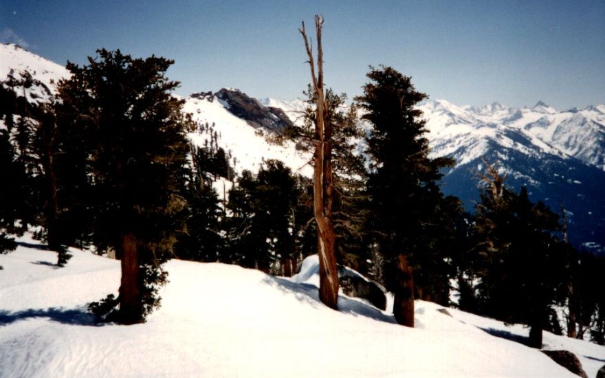 Sierra Nevada in Sequoia National Park in winter