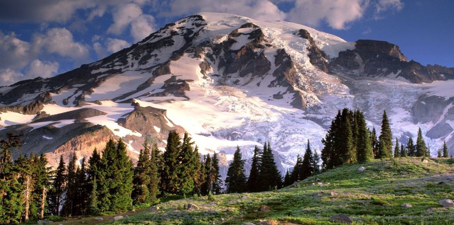 Mount Rainier ( 4392m ) Pacific Ranges, Washington State, USA from Colquhoun Peak